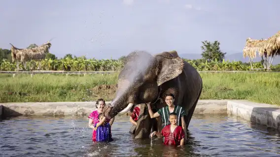 泰國清邁Kerchor​ elephant​ eco​ park​一日遊【/中文導遊/含飯店接駁】