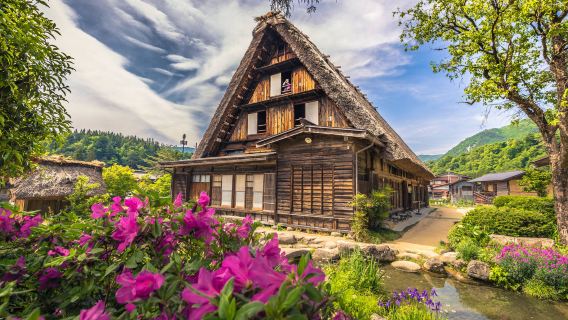 日本名古屋包車遊 白川鄉/高山/岐阜/靜岡/下呂/金澤/富山/立山黑部一日遊或連包遊【華人司機 飯店上門接送 升龍道之旅 可私人訂制行程 打卡網紅景點】