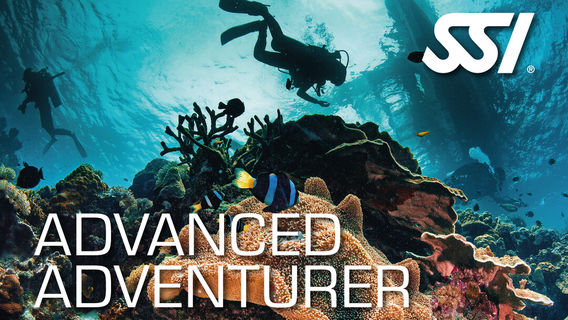 Kota KinabaluExperiences