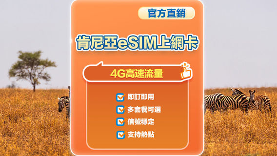 肯尼亞電話卡