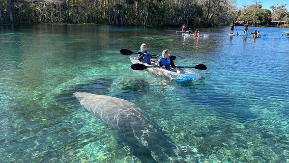 OrlandoExperiences