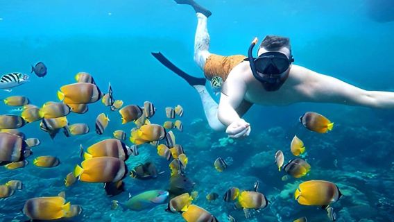 Aventura de snorkel en Nusa Lembongan: 3 puntos incluyendo Manta Bay + recogida en el hotel