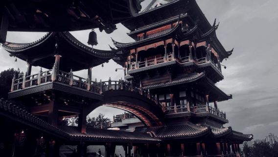 Yiwu International Trade City District 5 Market Accompanying/ Chinese/Mandarin/English/Russian/Exhibition Business Translation H