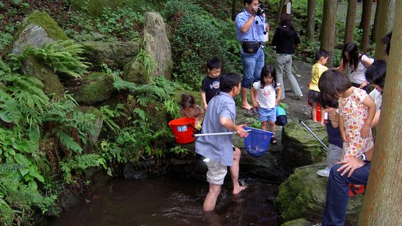 NagatoroExperiences