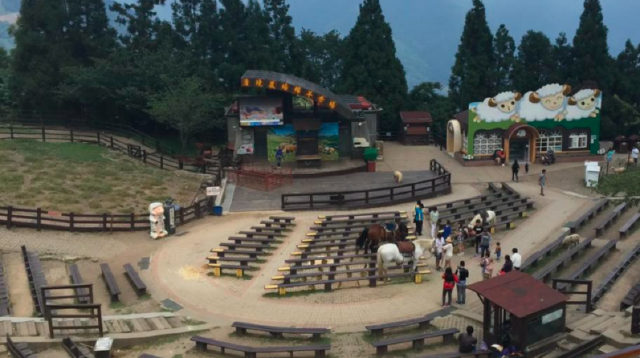 台灣清淨農場+清境農場小瑞士花園+日月潭一日|親子/家庭遊&