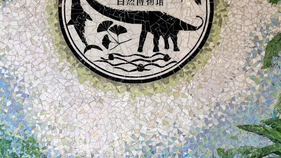 【拼團】上海自然博物館+探秘自然奧秘+資深導遊講解服務