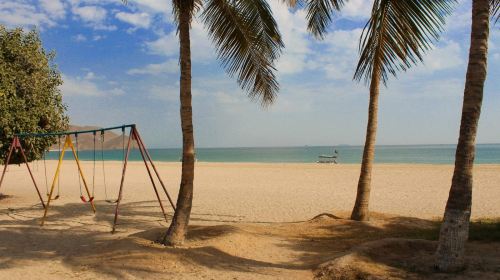 From Dubai Private Tour: Edge of Emirates: East Coast Tour Day Tours 9