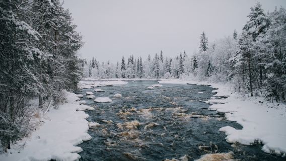 Rovaniemi