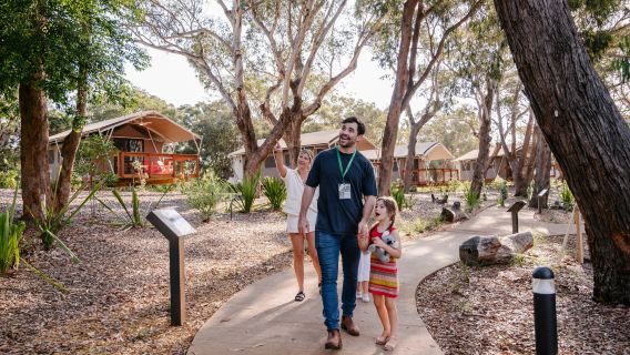 Port Stephens Koala Sanctuary