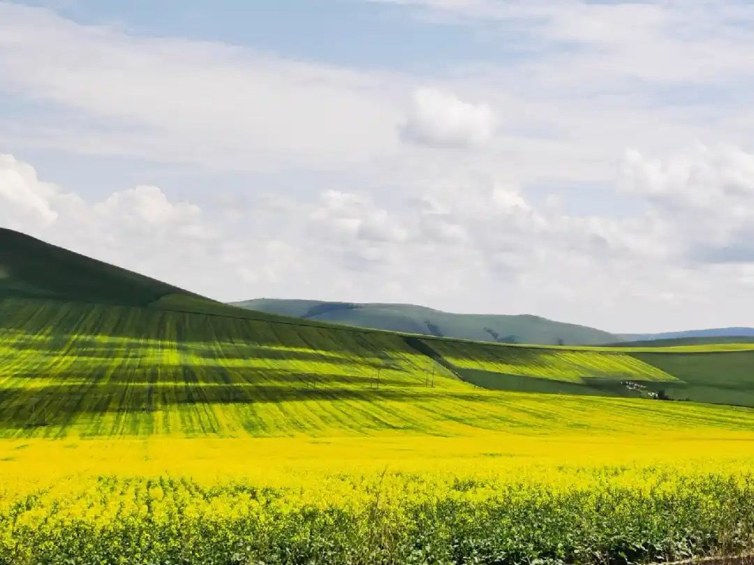 海拉爾+黑山頭+海拉爾一日來回 【獨立成團 一對一服務】