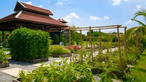โรงเรียนสอนทำอาหารไทยคุณย่า เชียงใหม่