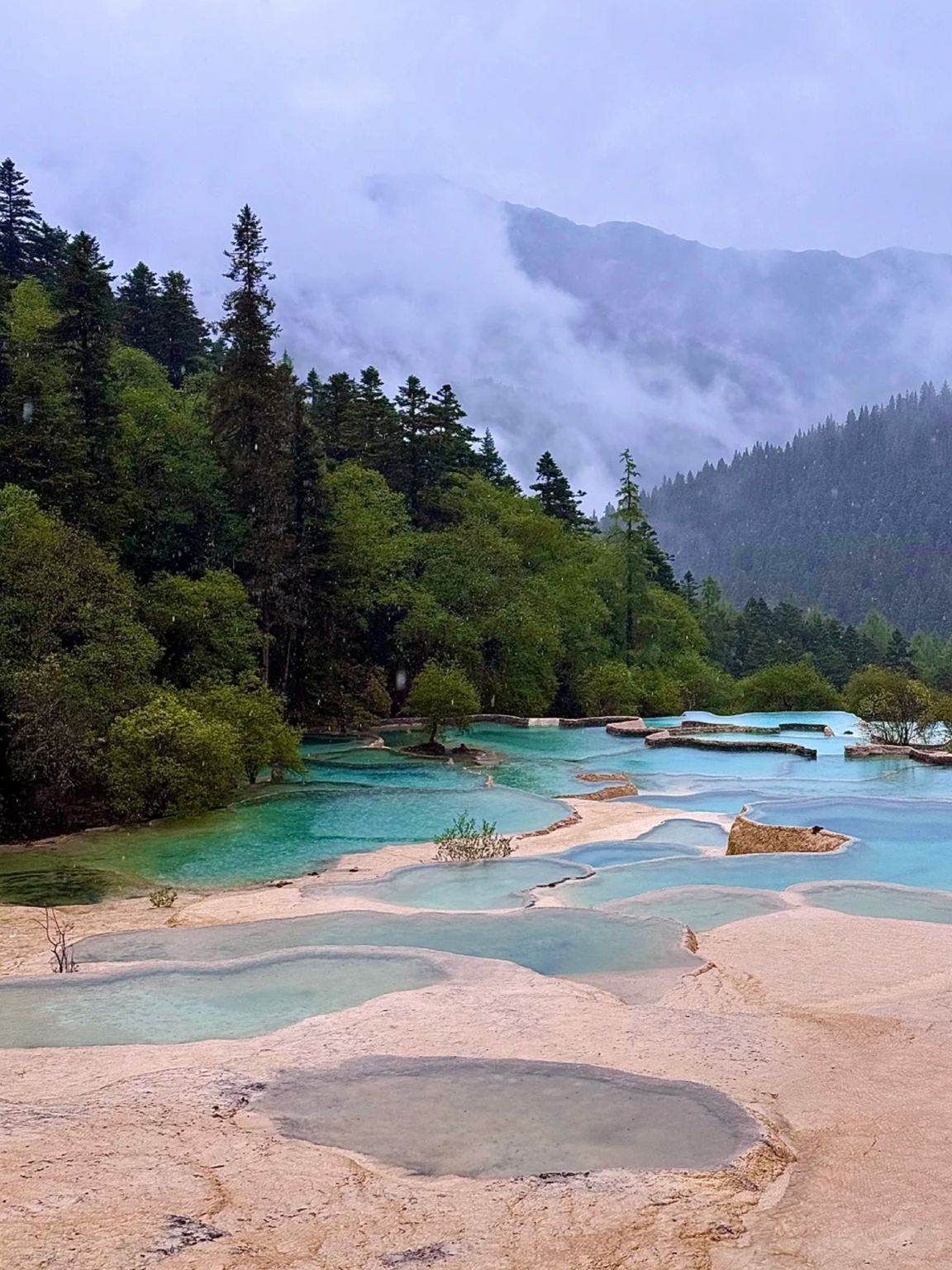 Huanglong Scenic Area - Jiuzhaigou shuttle bus with optional vehicle types