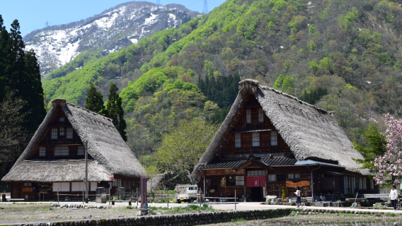 Exploring the Culture of Suganuma's Gassho Village and Exploring the Nature of a Fairytale-like Secret Land