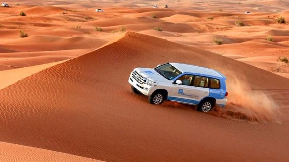 Abu Dhabi: Morning Desert Tour, Camel Ride, and Sandboarding