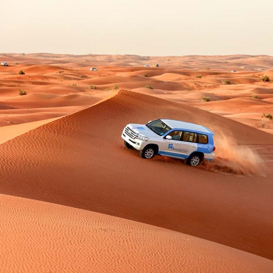 Abu Dhabi: Chuyến thám hiểm sa mạc buổi sáng, cưỡi lạc đà và trượt cát