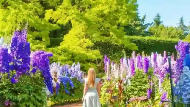 Vancouver VanDusen Botanical Garden + Gastown + Lynn Canyon Suspension Bridge + Sunset Beach day tour