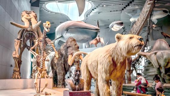 Shanghai Natural History Museum In-depth Tour with Tickets (Chinese-language/Private Tour Available)