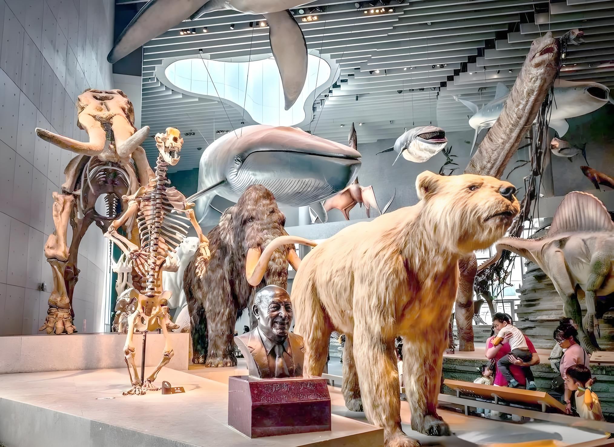 Shanghai Natural History Museum In-depth Tour with Tickets (Chinese-language/Private Tour Available)