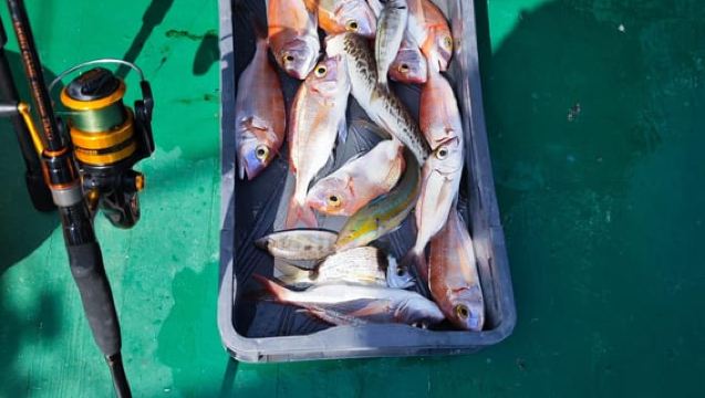 บีโอกราด: ทัวร์ตกปลาแบบครอบครัวที่แท้จริงในโครเอเชีย