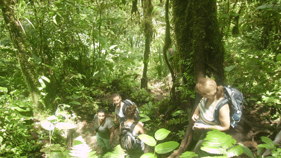 Escursione nel Parco Nazionale del Río Celeste