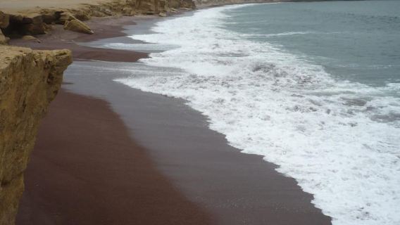 從TPP帕拉卡斯出發：島嶼之旅，帕拉卡斯保護區全包