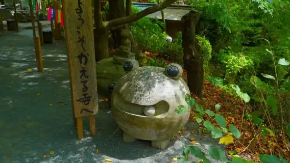 From Fukuoka: Nyoirinji Temple, Beppu Hells and Yufuin