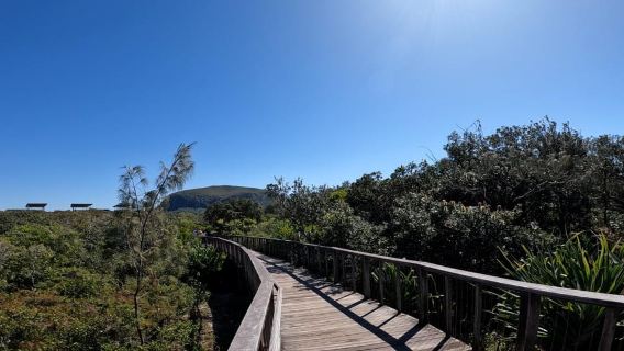 Sunshine Coast: Easy Peasy Novotel North E-Bike Tour