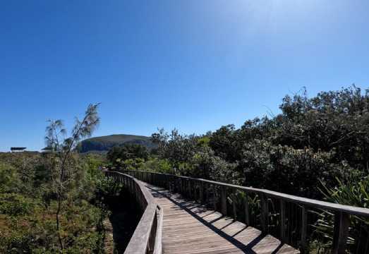 Sunshine Coast: Easy Peasy Novotel North E-Bike Tour AUD 116.74