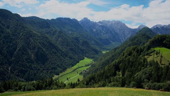 Von Ljubljana: Logartal und Solčava-Panoramastraße