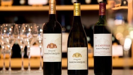 Languedoc: Domaine de Baronarques 투어 및 시식