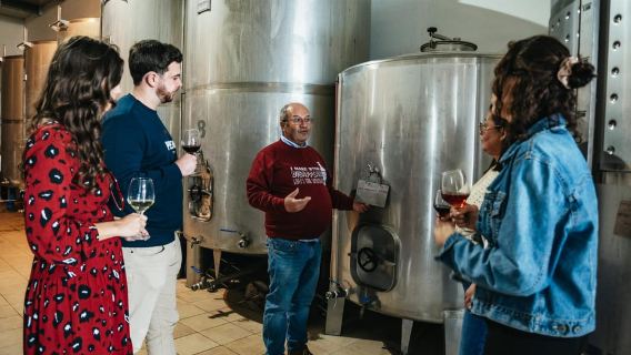 Loulé: visita guiada a la bodega Quinta da Tôr y cata de vinos