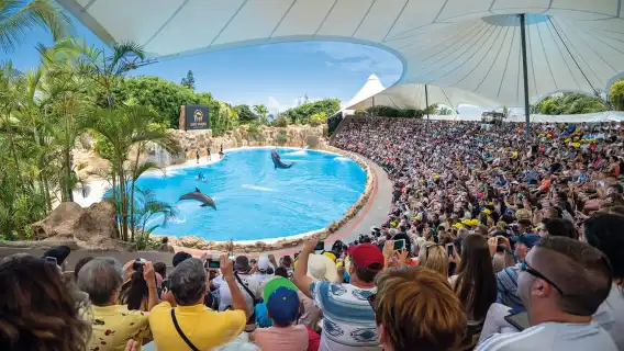 Loro Parque and Siam Park Combined Admission Tickets