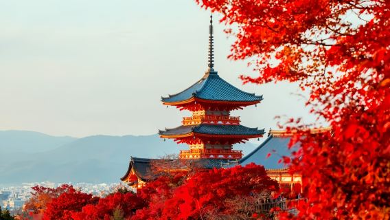 perjalanan satu hari Budaya Jalanan Bersejarah Kyoto: Kuil Kiyomizu-dera, Sannenzaka, dan Ninnenzaka