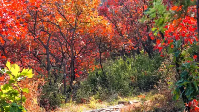 金海湖環湖休閒徒步一日遊