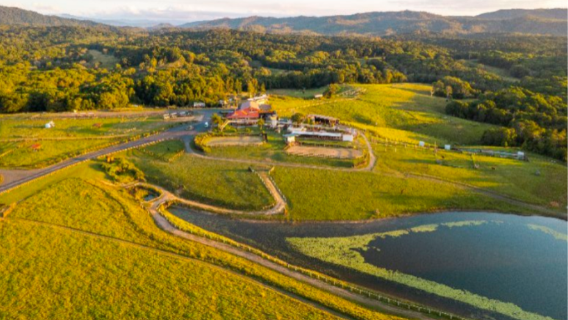 澳洲凱恩斯庫蘭達熱帶雨林．天天出發（精品中文團）一日遊