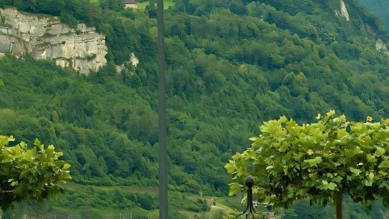 瑞士蘇黎世－鐵力士山－恩格爾貝格小鎮一日遊【支持行程定制】