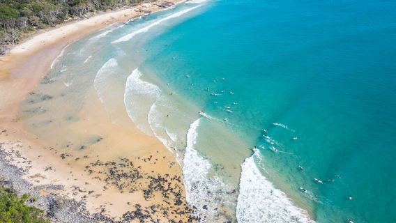 Sunshine Coast + Noosa Beach day tour with Brisbane pickup and departure