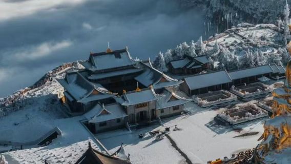 Salida desde Leshan, Sichuan - Excursión en servicio de coche privado con conductor para ver monos en Emeishan y ascender a la cima dorada de Emeishan|Comodidad sin preocupaciones