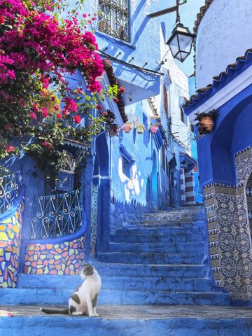 摩洛哥&舍夫沙萬【藍色夢境專屬包車一日遊】