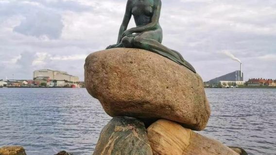 Customizable Copenhagen Day Tour: The King's New Square & Kunsthal Charlottenborg (Flexible Itinerary)