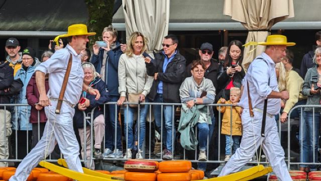 Netherlands Day Tour: Alkmaar Cheese Market + Schagen Tulip Fields + Hoorn