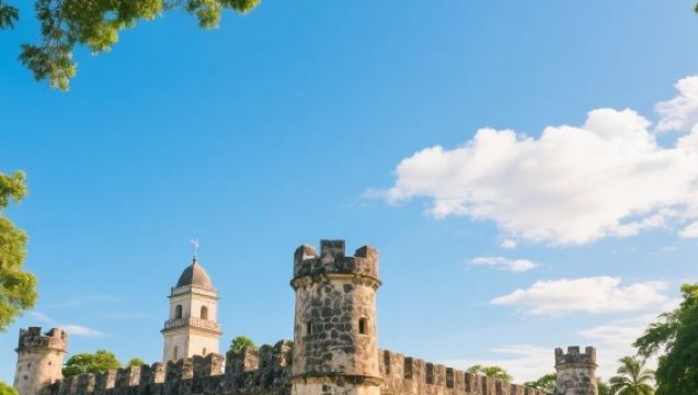 Sewa kendaraan pribadi untuk perjalanan satu hari di Istanbul, Turki | Masjid Biru + Masjid Süleymaniye+