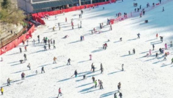岳西大別山高山滑雪一日遊【含大別山滑雪3小時＋基礎雪具】
