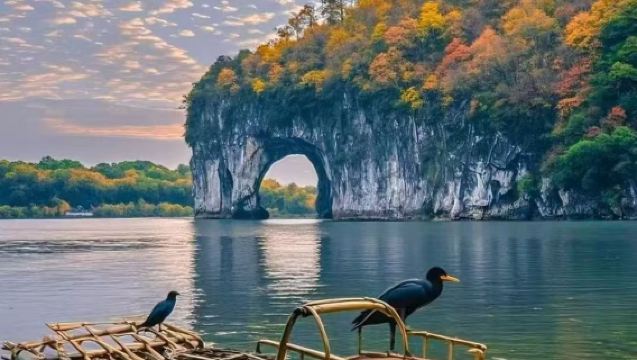 Explore Guilin city with local rice noodles, Elephant Hill Scenic Area, and Guihai Qinlan