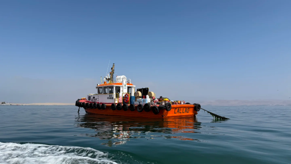 秘魯鳥島、滑沙一日遊+鳥島遊船+瓦卡奇納沙漠滑沙+中文導遊