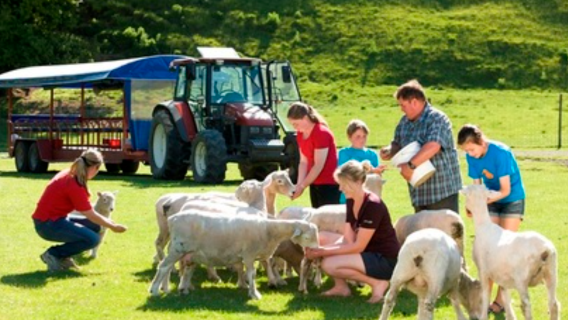 Kunjungi Agrodone Farm di Rotorua, Pulau Utara, Selandia Baru [Tur peternakan/pertunjukan domba opsional | Tersedia pilihan bahasa Mandarin]