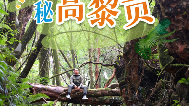 高黎貢山徒步一日遊（竄龍）瀑布群+原始森林毛毛樹+野溫泉泡腳