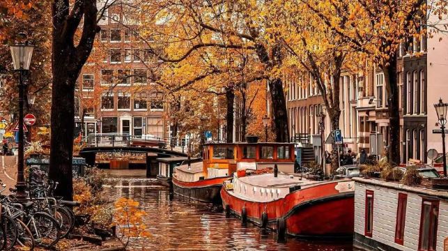 荷蘭阿姆斯特丹定制包車遊【中文司機+景點可調整】