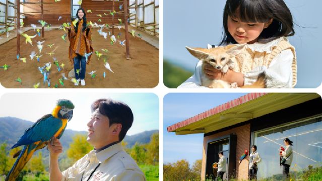 รถบัสรับส่งโซล-เกาะนามิ เลือกได้จากสถานีมหาวิทยาลัยฮงอิก/นัมซานเยจัง/สวนประวัติศาสตร์และวัฒนธรรมทงแดมุน