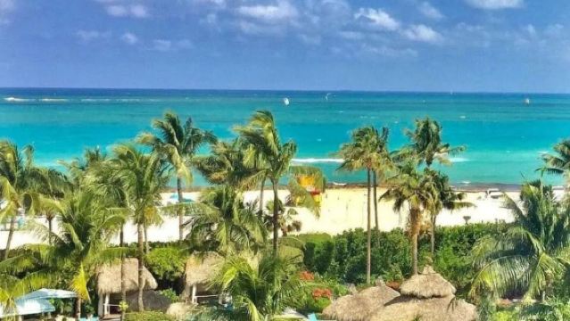 美國邁阿密-小哈瓦那-維茲卡亞博物館及花園-南海灘-包車私享